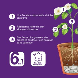 PK BOOSTER- Aditivo NPK y potenciador de floración- Bio Technology