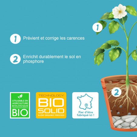 BIOSOLID P15 MIX- Booster y potenciador de fósforo - Bio Technology