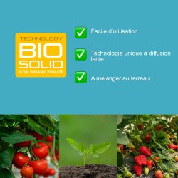 BIOSOLID P15 MIX- Booster y potenciador de fósforo - Bio Technology