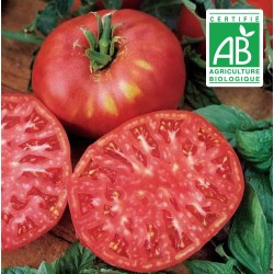 Tomate Brandywine - 30 graines bio