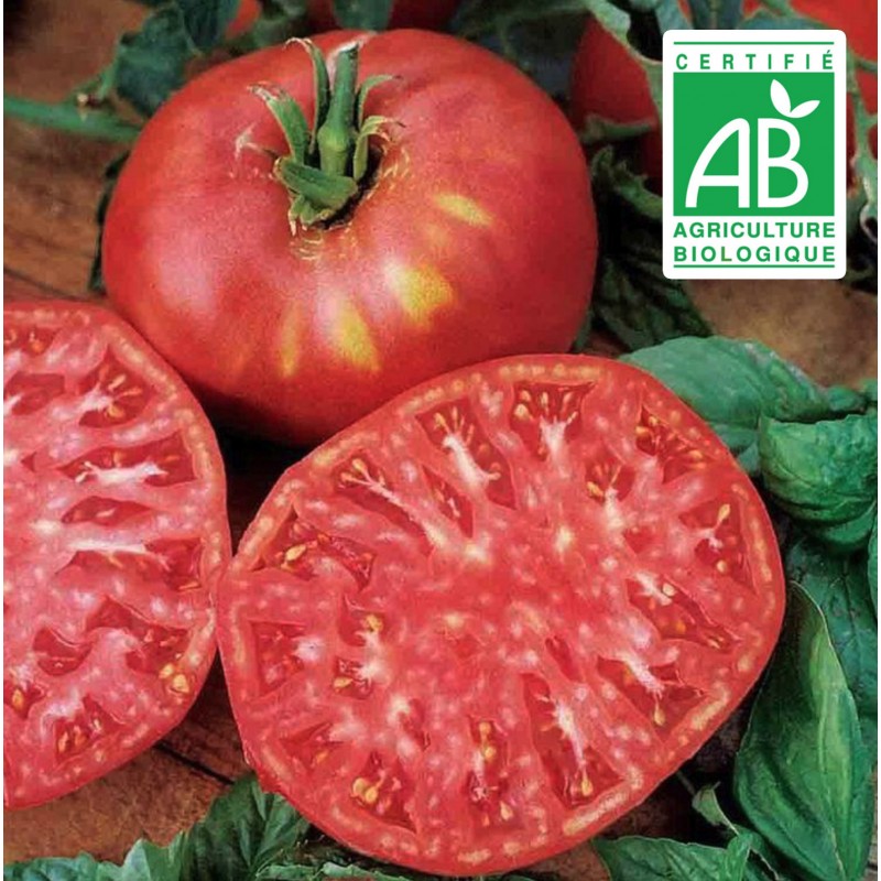 Tomate Brandywine - 30 graines bio